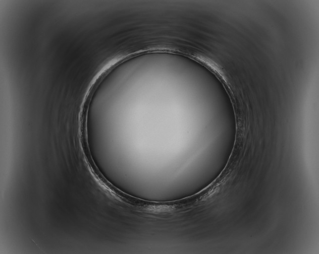 X0000086961135200705071330
