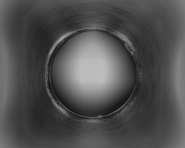 X0000086961136200705071330