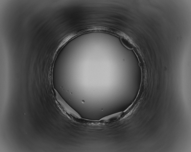 X0000086961137200705071330