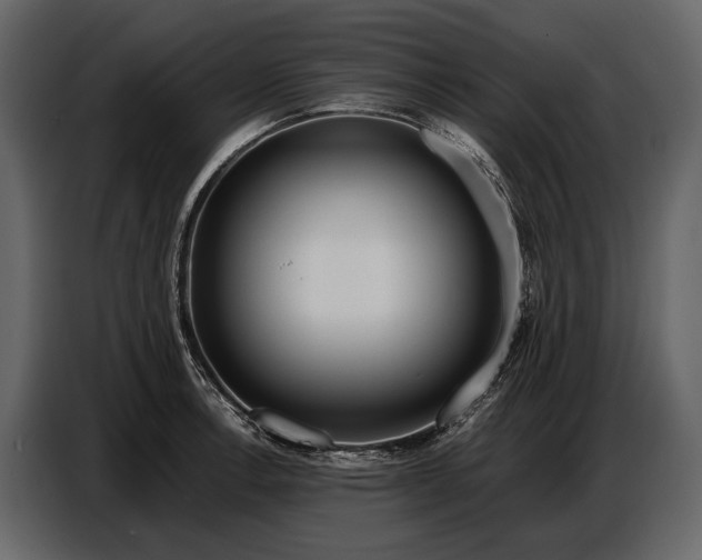 X0000086961138200705071330