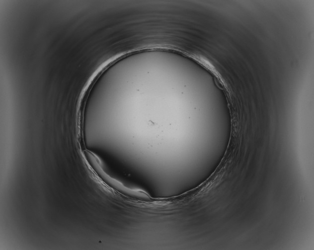 X0000086961140200705071331