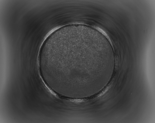 X0000086961141200705071331