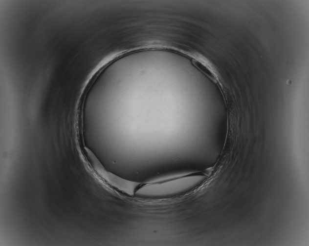 X0000086961142200705071331