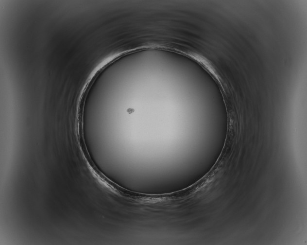 X0000086961143200705071331