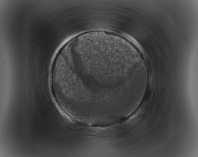 X0000086961144200705071331