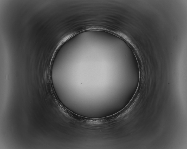 X0000086961145200705071331