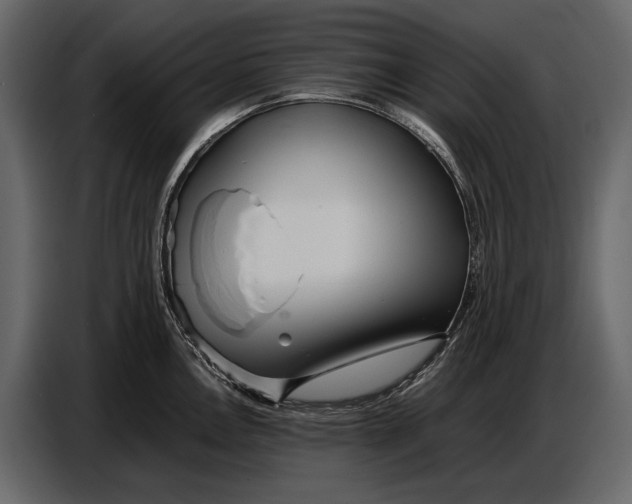 X0000086961146200705071331