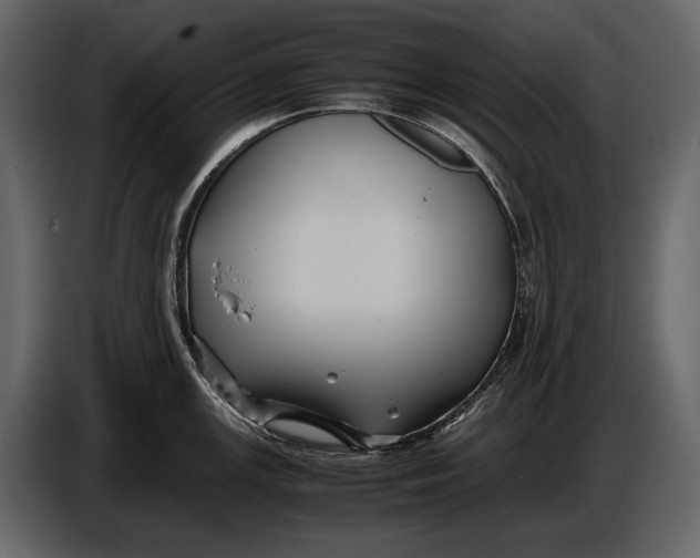 X0000086961147200705071331
