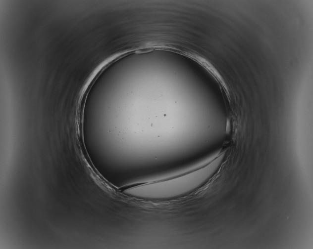 X0000086961148200705071331
