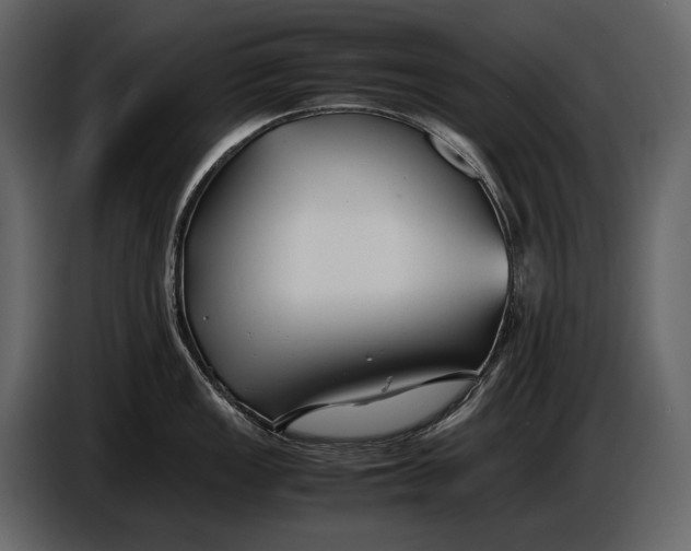 X0000086961149200705071331
