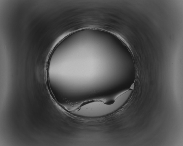 X0000086961151200705071331