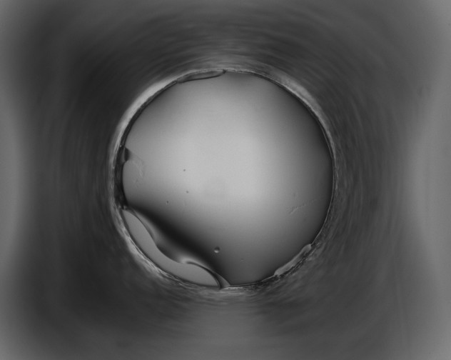 X0000086961152200705071331