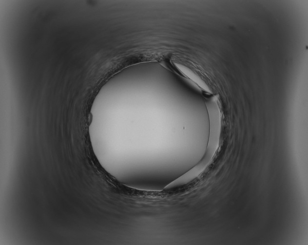X0000086961153200705071330