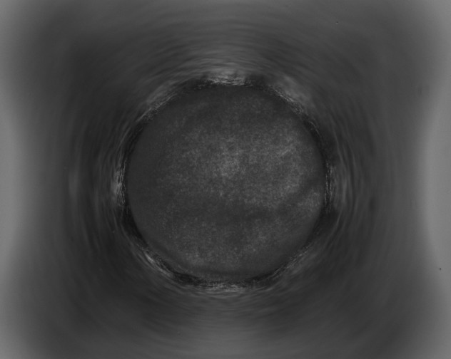 X0000086961154200705071330