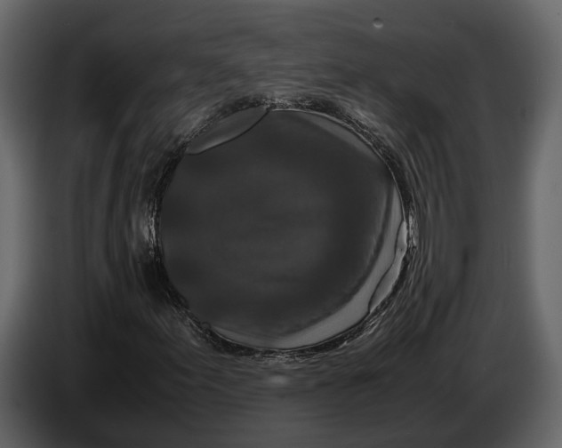 X0000086961155200705071330