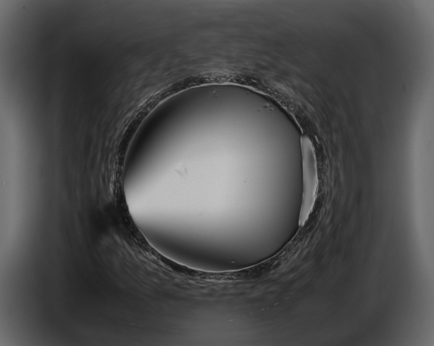 X0000086961157200705071330