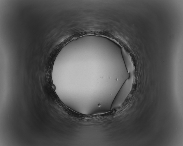 X0000086961159200705071330