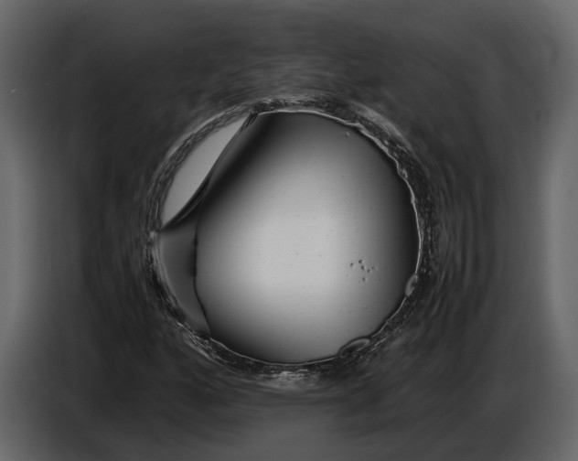 X0000086961160200705071330