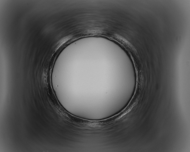 X0000086961162200705071330
