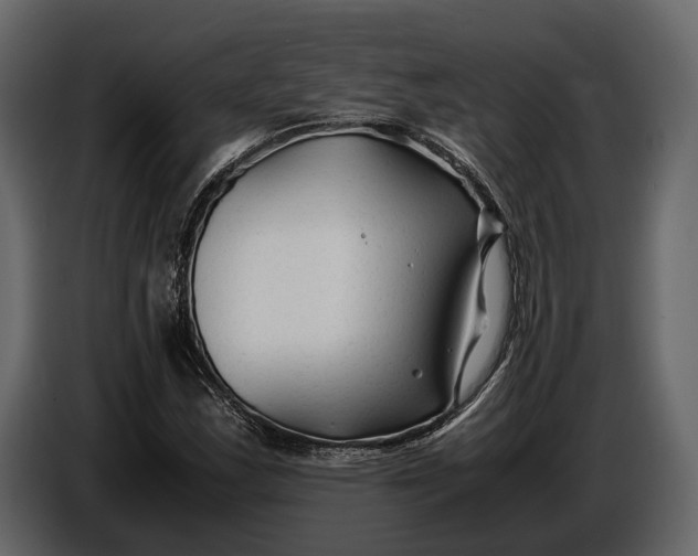 X0000086961163200705071330
