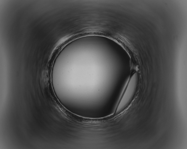 X0000086961164200705071330