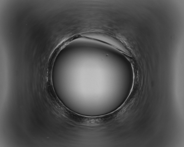 X0000086961165200705071330