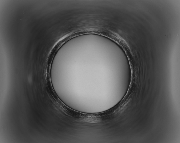 X0000086961166200705071330