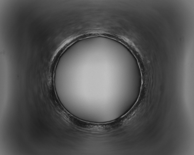 X0000086961167200705071330