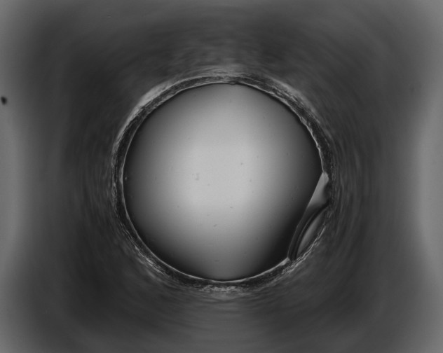 X0000086961168200705071330