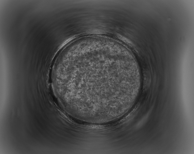 X0000086961170200705071330