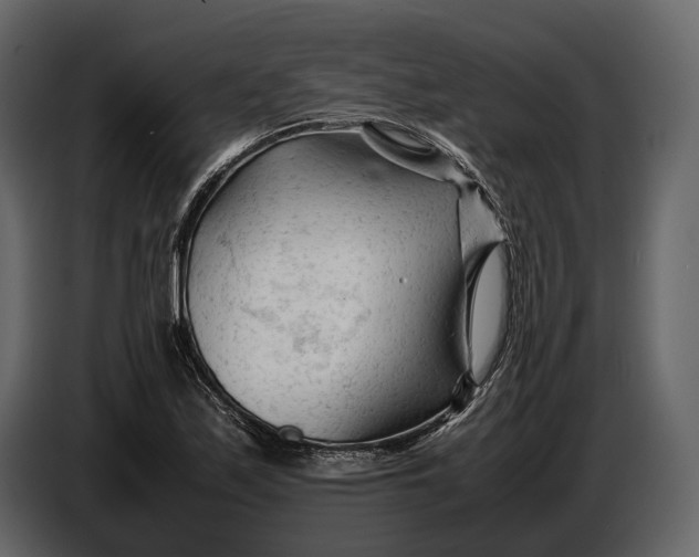X0000086961171200705071330