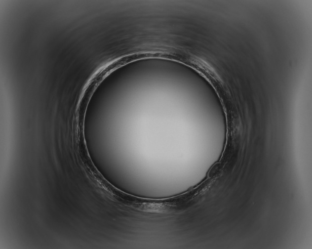X0000086961172200705071330