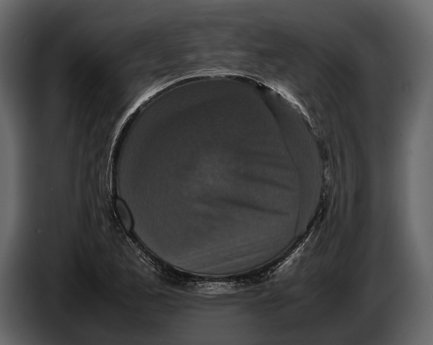 X0000086961173200705071330