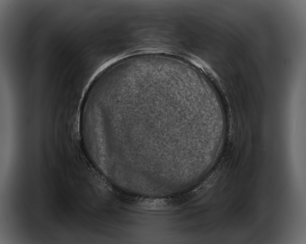X0000086961174200705071330