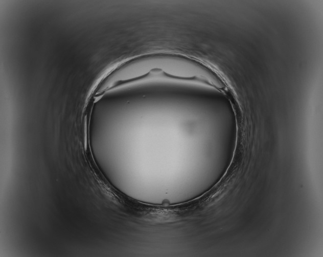 X0000086961175200705071330