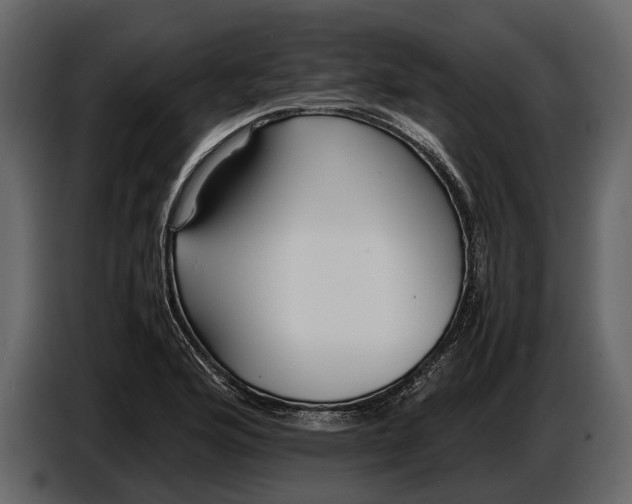 X0000086961176200705071330