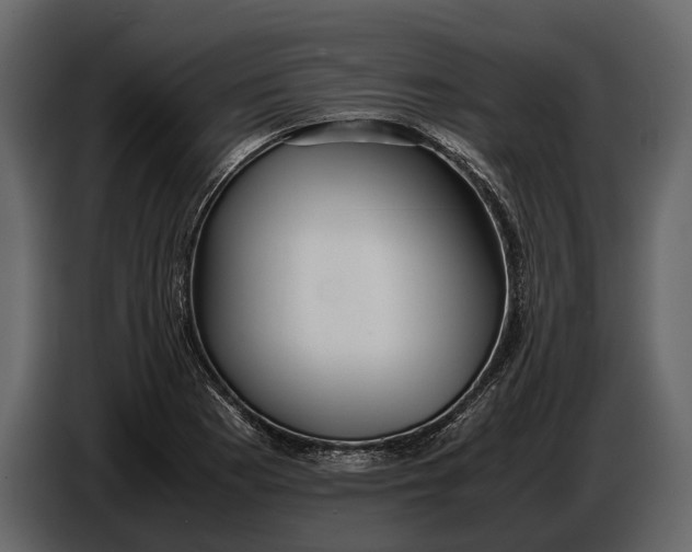 X0000086961177200705071330