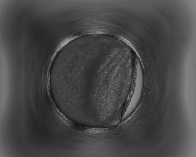 X0000086961179200705071330