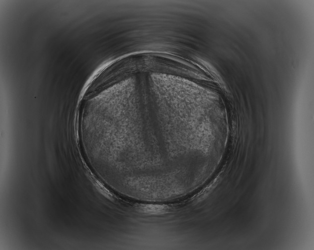 X0000086961180200705071330