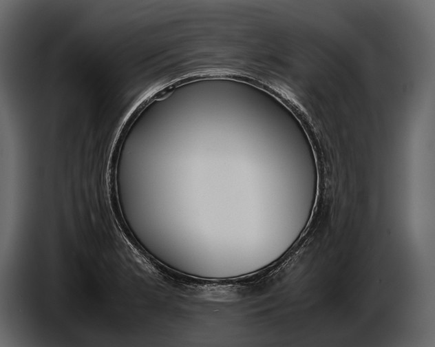X0000086961181200705071330