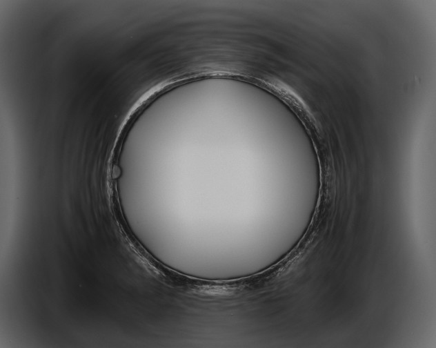 X0000086961182200705071330