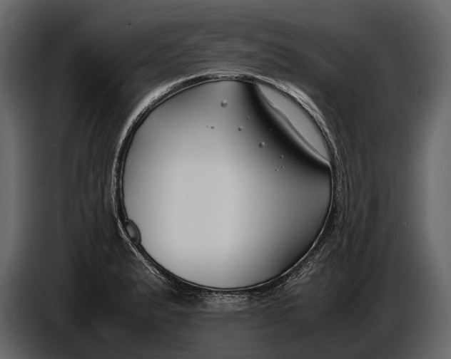 X0000086961183200705071330