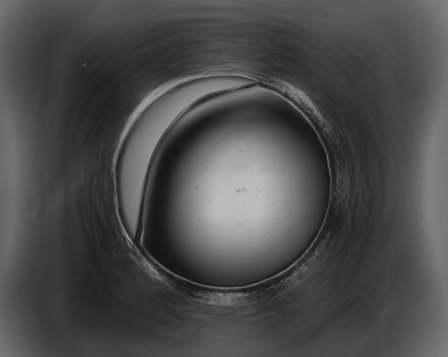 X0000086961184200705071330