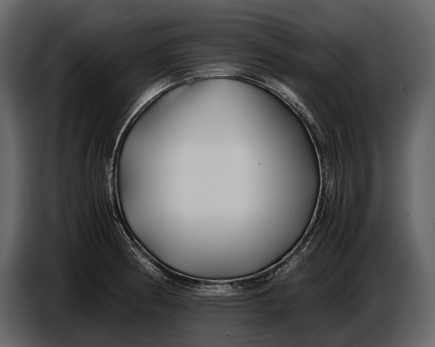 X0000086961186200705071330