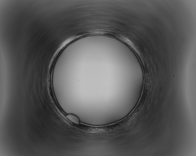 X0000086961187200705071330