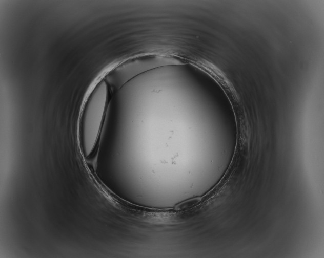 X0000086961188200705071330