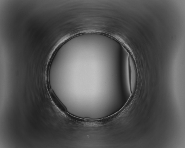 X0000086961189200705071330