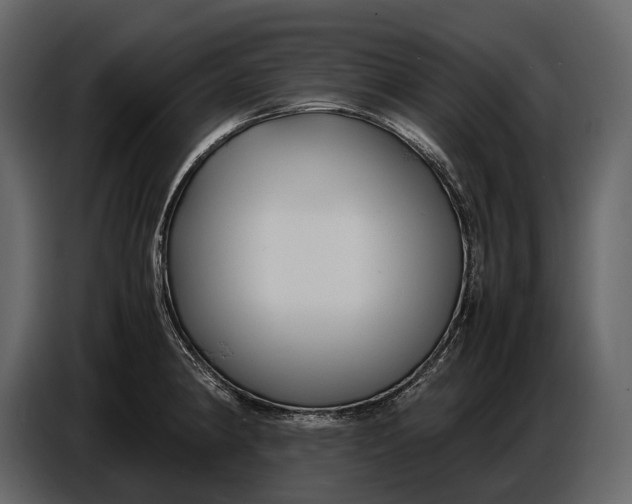 X0000086961190200705071330