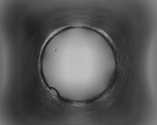 X0000086961191200705071330
