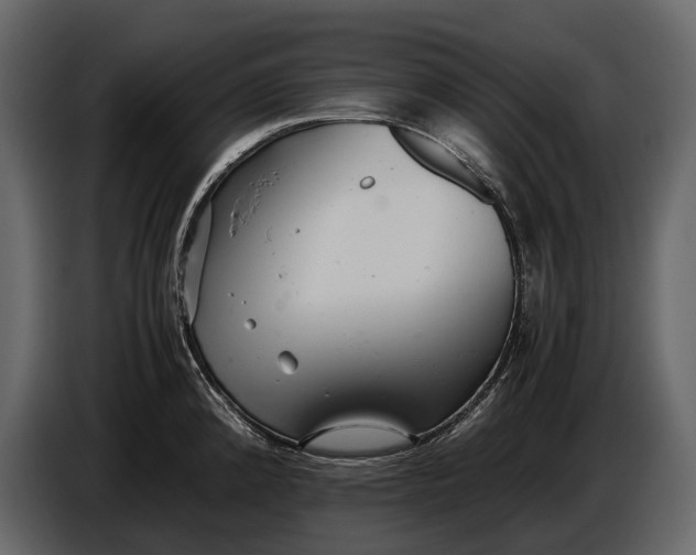 X0000086961192200705071330